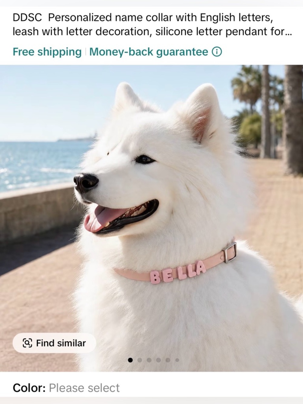 Personalized Purple Dog Collar with Letters